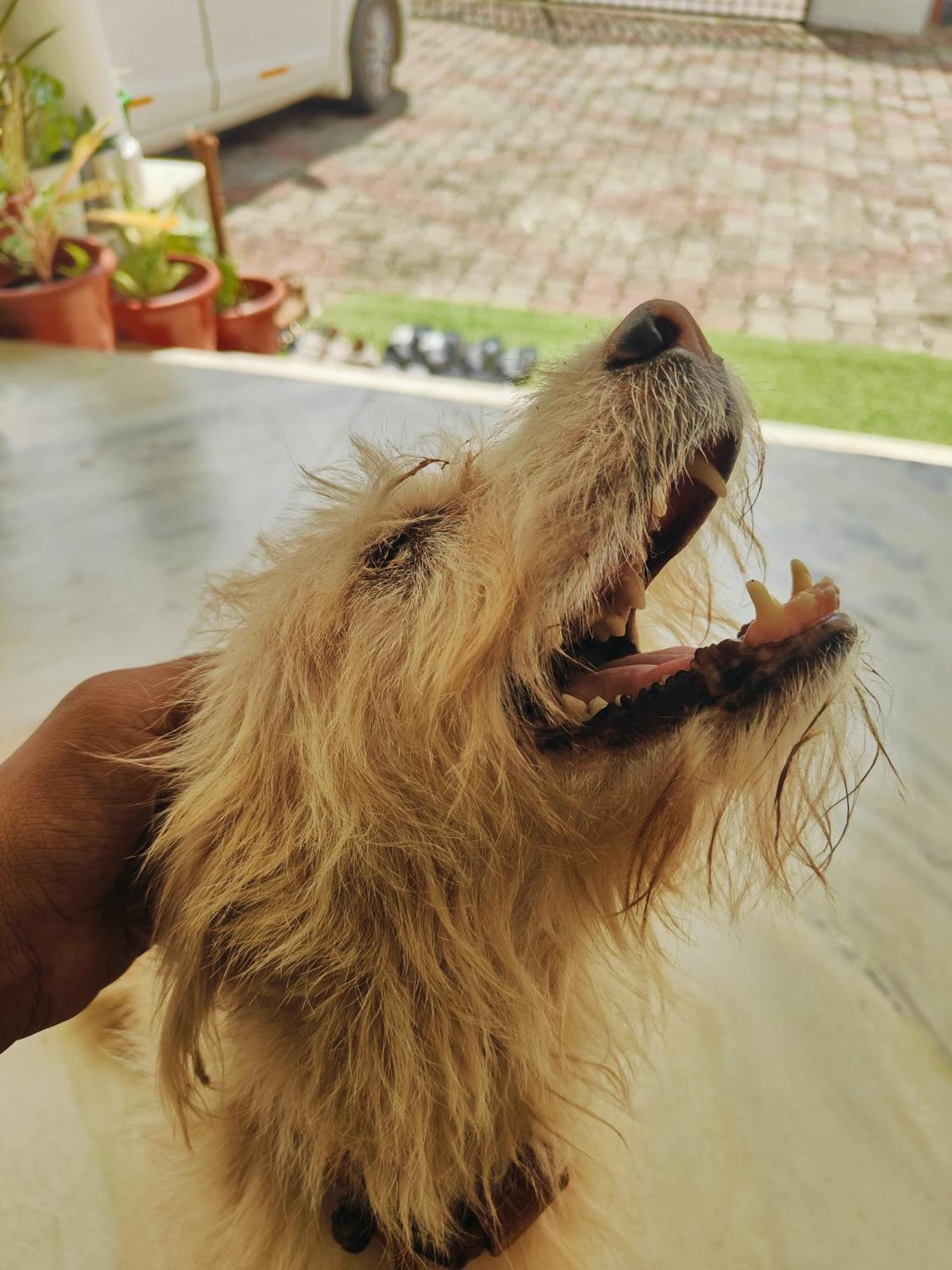 Shamak Homestay Varkala Bagian luar foto