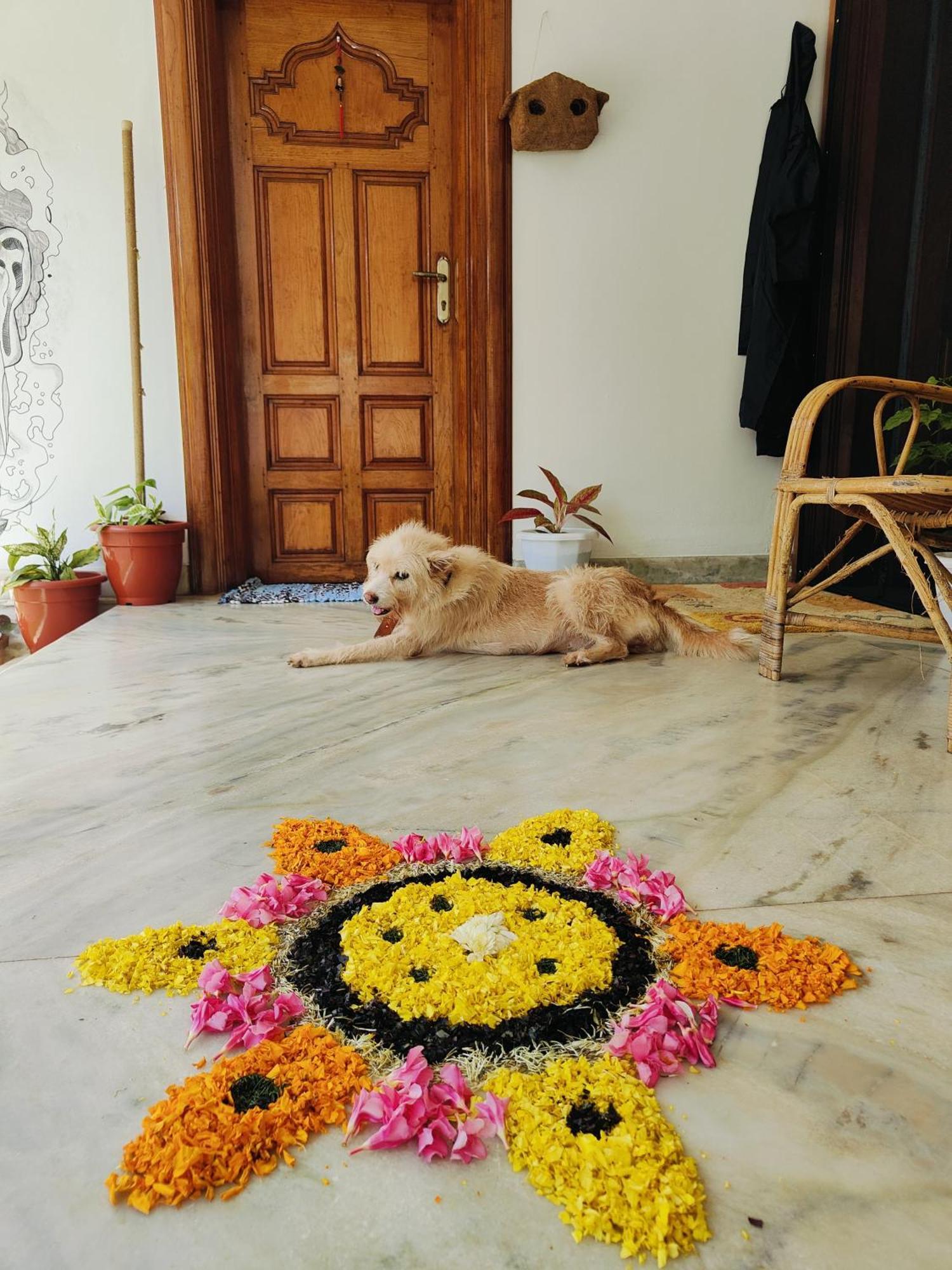Shamak Homestay Varkala Bagian luar foto